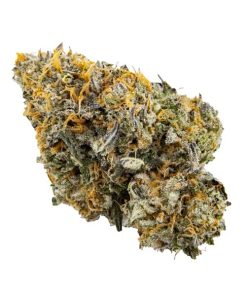 Sunset Sherbert | Kootenay Quad AAAA+